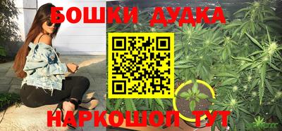гидропоника Краснодар