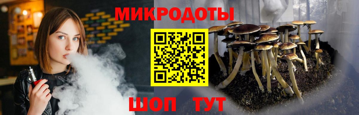 Псилоцибиновые грибы GOLDEN TEACHER  Псилоцибиновые грибы Psilocybe  Вход с VPN  Кировск 